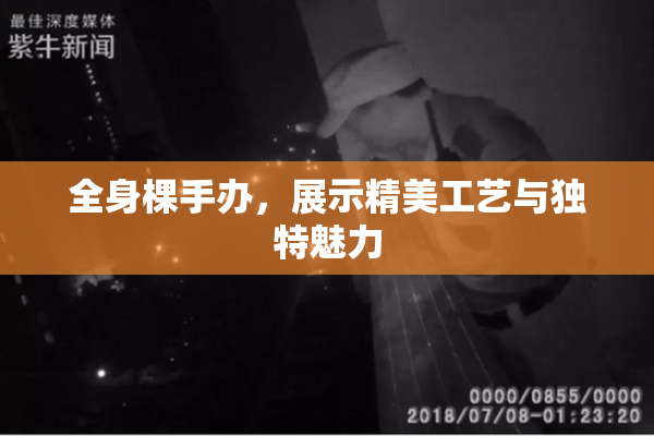 全身棵手办，展示精美工艺与独特魅力