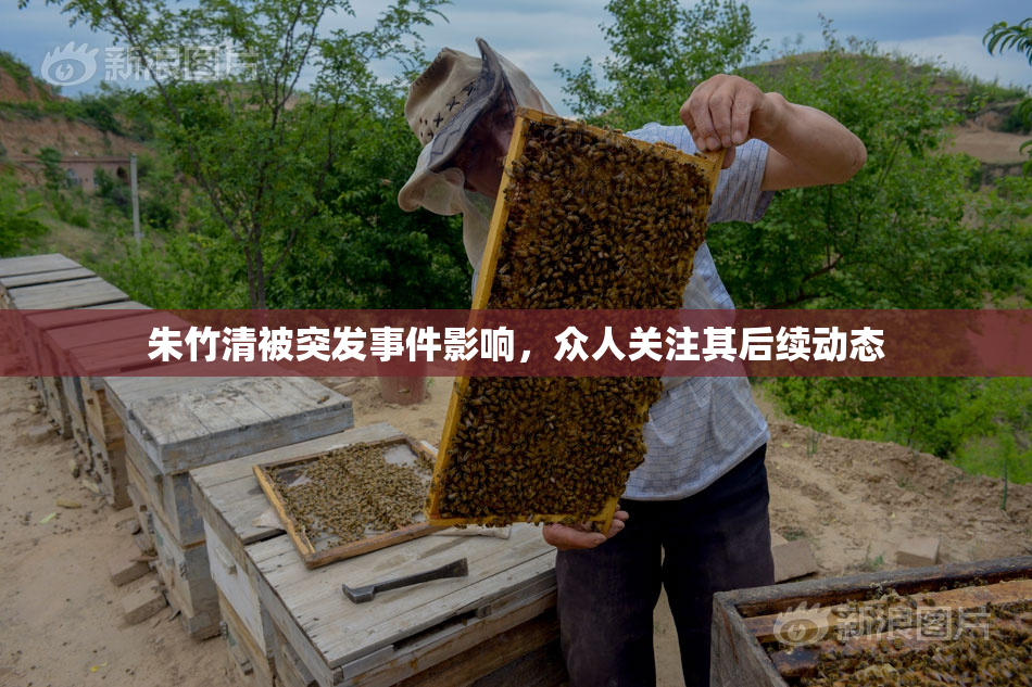 朱竹清被突发事件影响，众人关注其后续动态