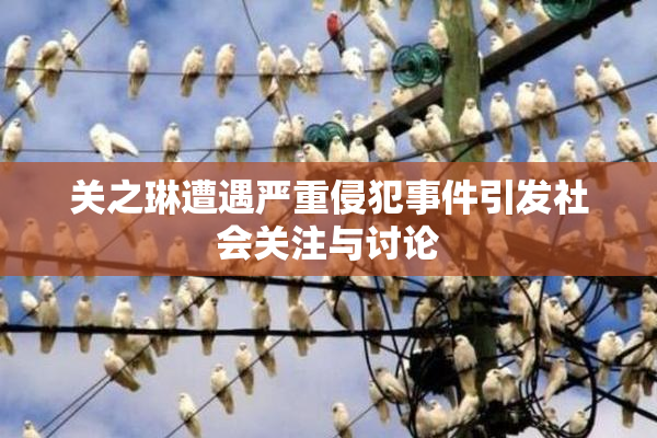 关之琳遭遇严重侵犯事件引发社会关注与讨论