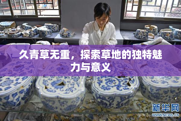 久青草无重，探索草地的独特魅力与意义