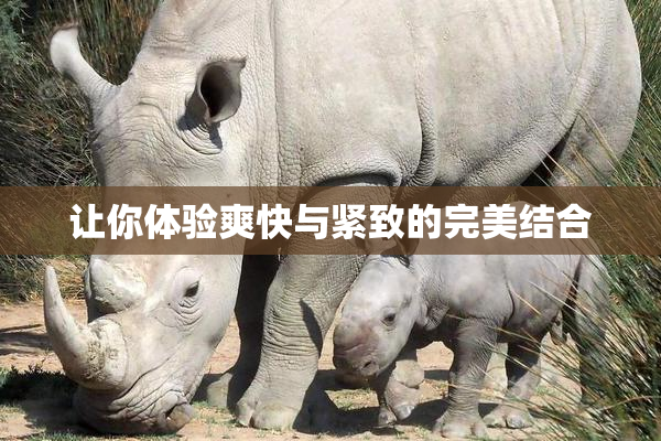 让你体验爽快与紧致的完美结合