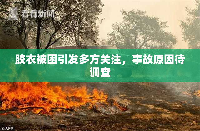 胶衣被困引发多方关注，事故原因待调查
