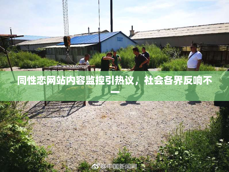 同性恋网站内容监控引热议，社会各界反响不一