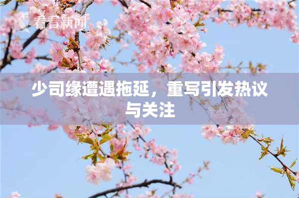 少司缘遭遇拖延，重写引发热议与关注