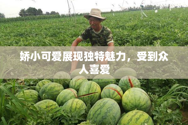 娇小可爱展现独特魅力，受到众人喜爱