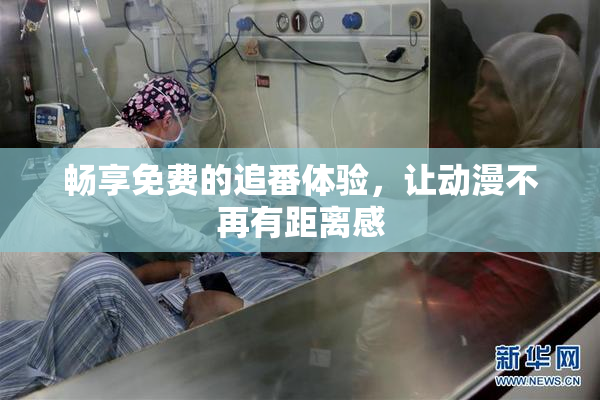 畅享免费的追番体验，让动漫不再有距离感