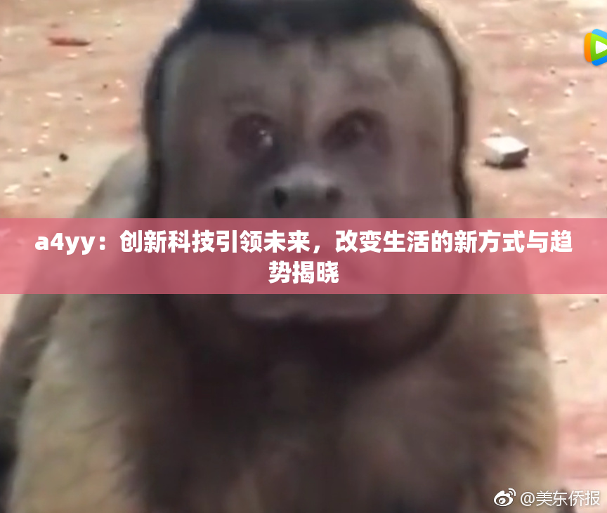 a4yy：创新科技引领未来，改变生活的新方式与趋势揭晓