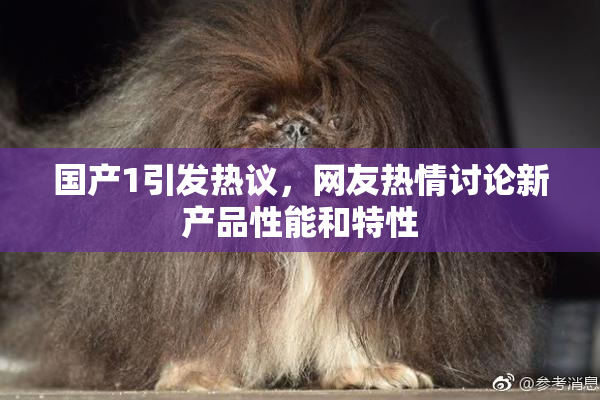 国产1引发热议，网友热情讨论新产品性能和特性