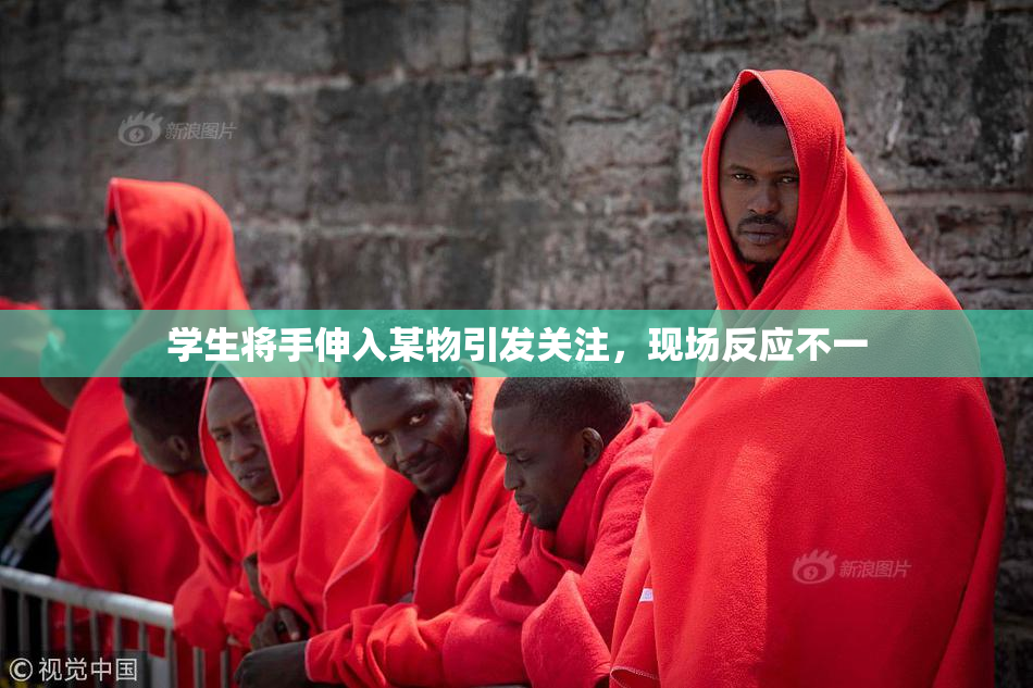 学生将手伸入某物引发关注，现场反应不一