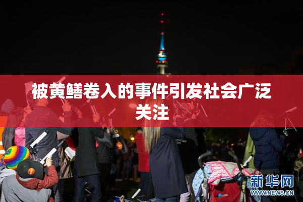 被黄鳝卷入的事件引发社会广泛关注