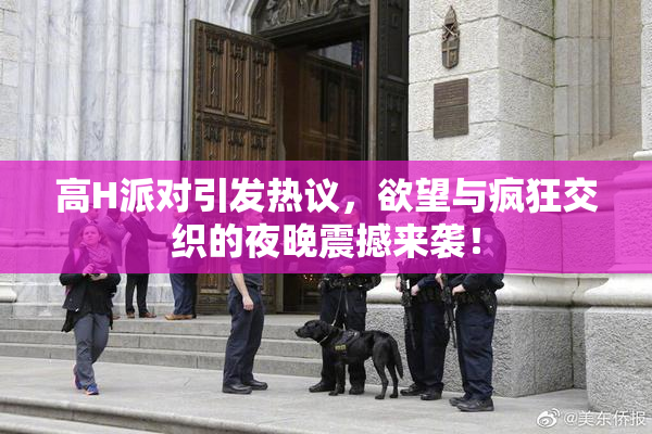 高H派对引发热议，欲望与疯狂交织的夜晚震撼来袭！