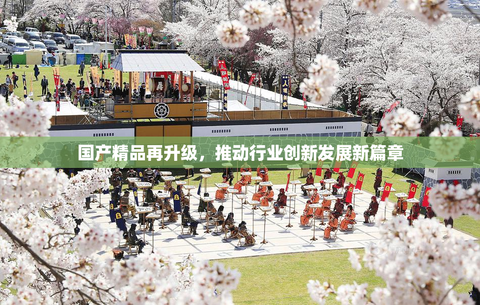 国产精品再升级，推动行业创新发展新篇章