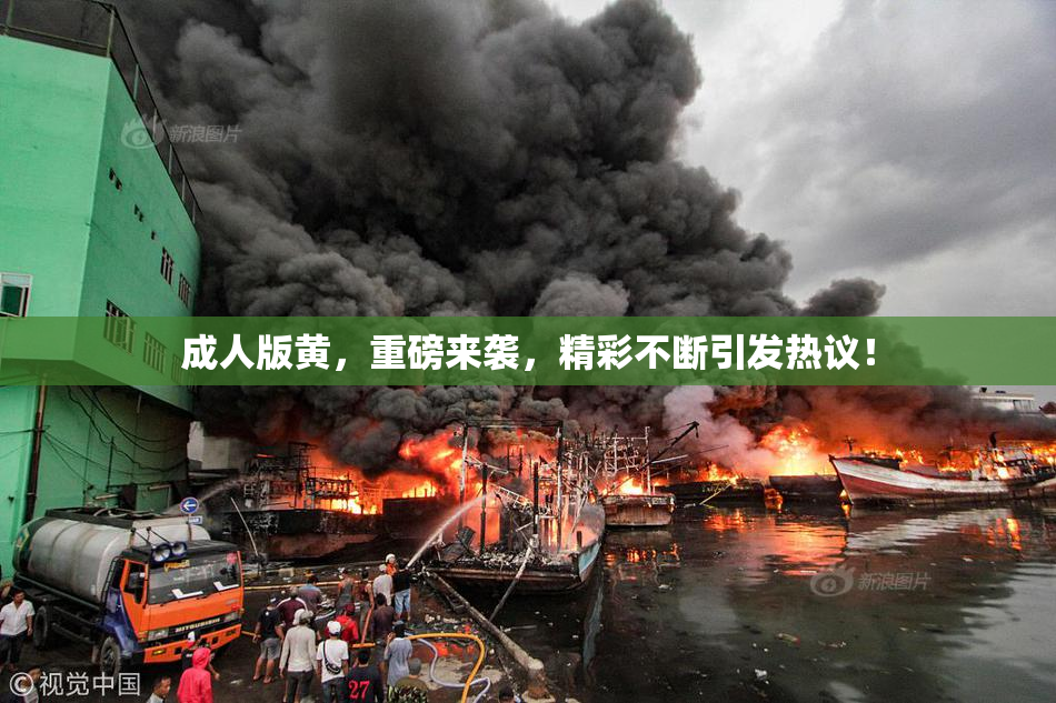 成人版黄，重磅来袭，精彩不断引发热议！
