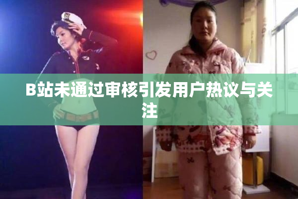 B站未通过审核引发用户热议与关注