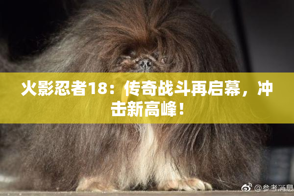 火影忍者18：传奇战斗再启幕，冲击新高峰！