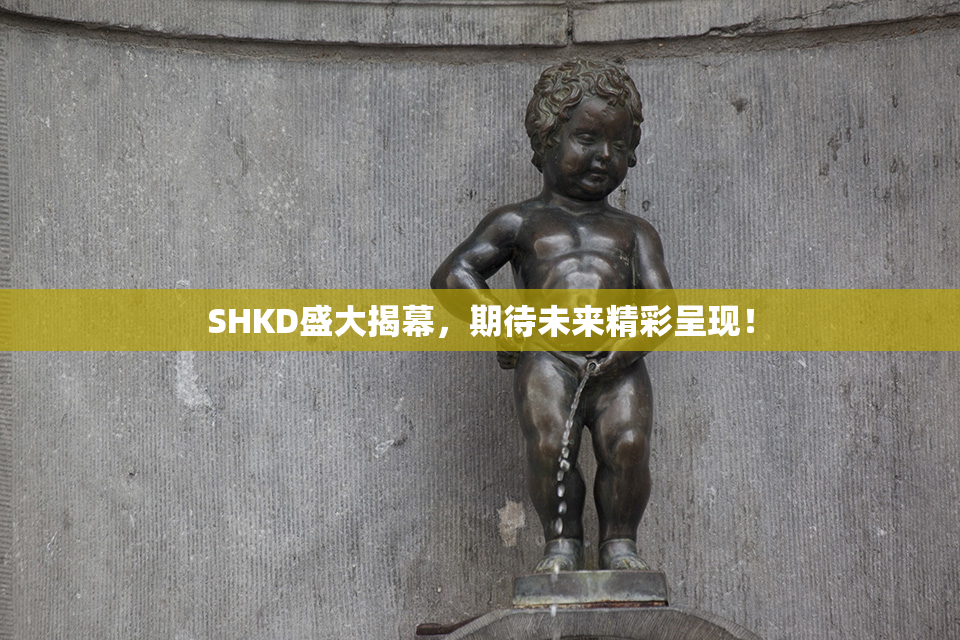 SHKD盛大揭幕，期待未来精彩呈现！