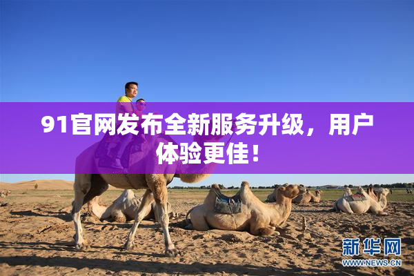 91官网发布全新服务升级，用户体验更佳！