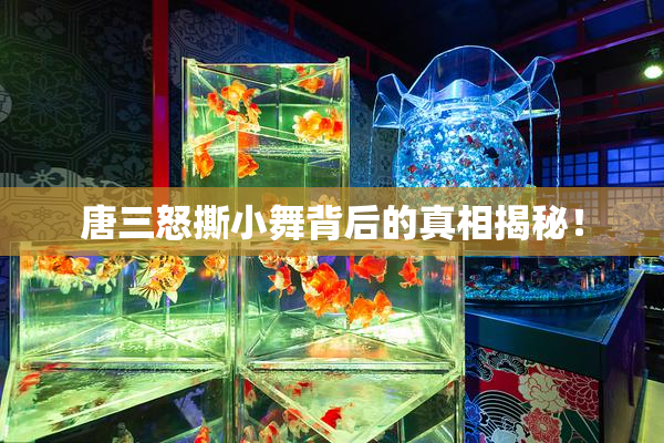 唐三怒撕小舞背后的真相揭秘！