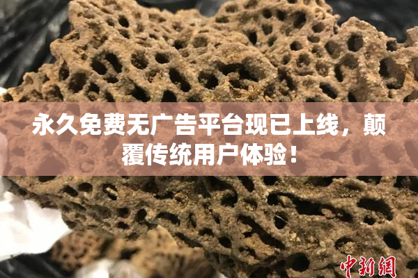 永久免费无广告平台现已上线，颠覆传统用户体验！
