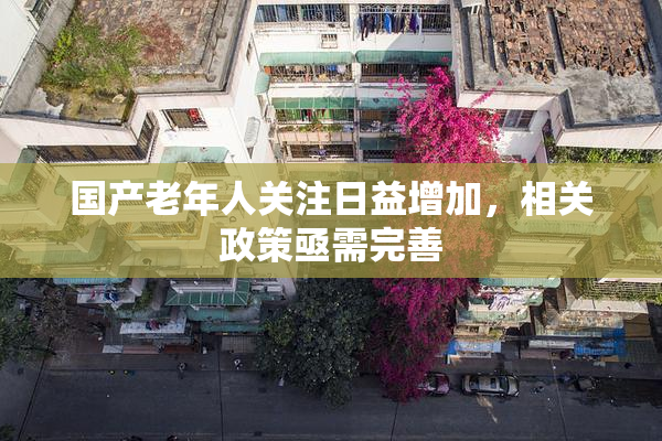 国产老年人关注日益增加，相关政策亟需完善
