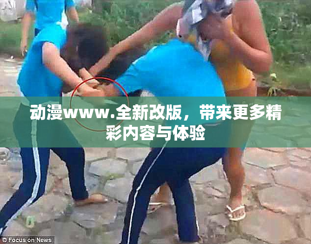 动漫www.全新改版，带来更多精彩内容与体验