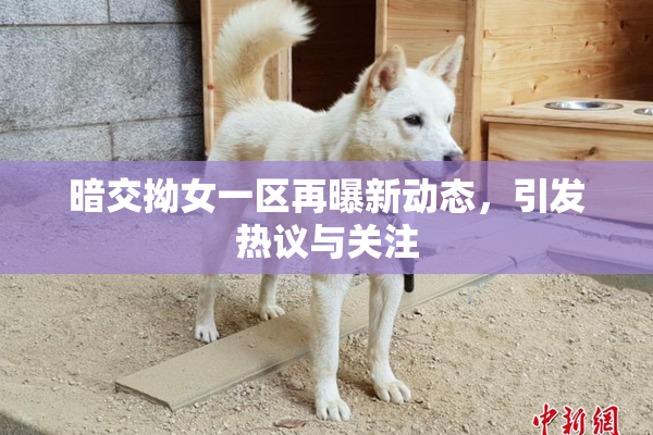 暗交拗女一区再曝新动态，引发热议与关注