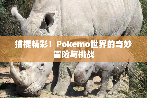 捕捉精彩！Pokemo世界的奇妙冒险与挑战