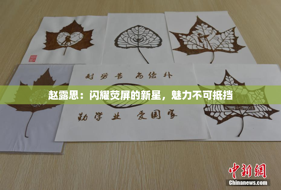 赵露思：闪耀荧屏的新星，魅力不可抵挡