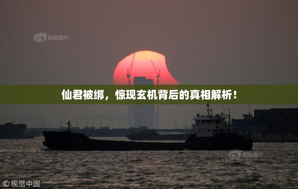 仙君被绑，惊现玄机背后的真相解析！