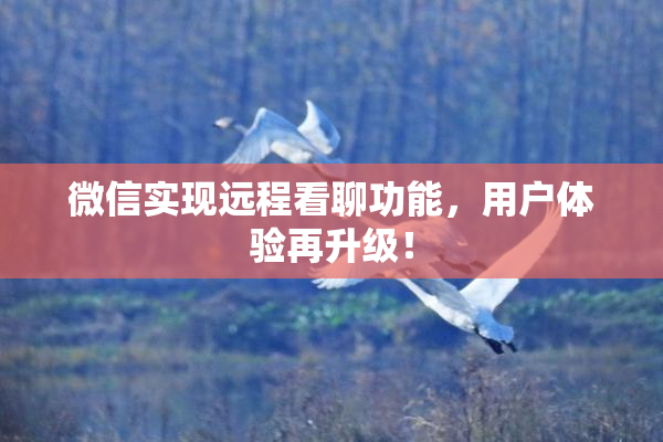 微信实现远程看聊功能，用户体验再升级！