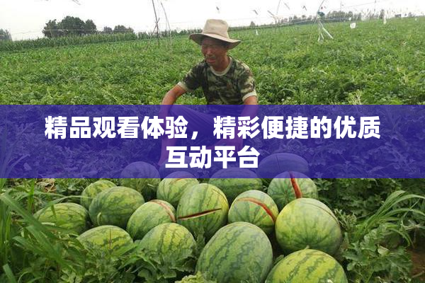 精品观看体验，精彩便捷的优质互动平台