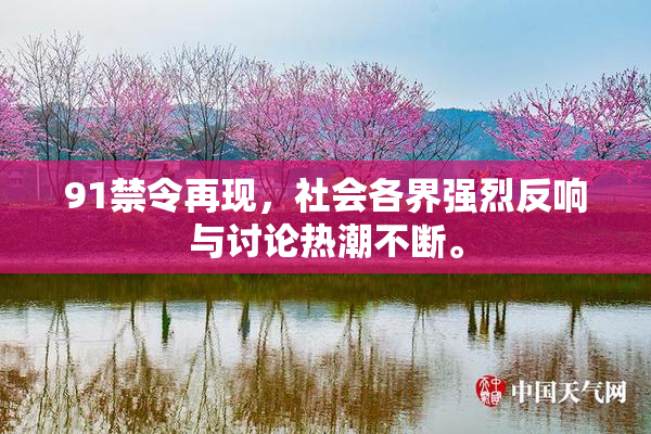 91禁令再现，社会各界强烈反响与讨论热潮不断。