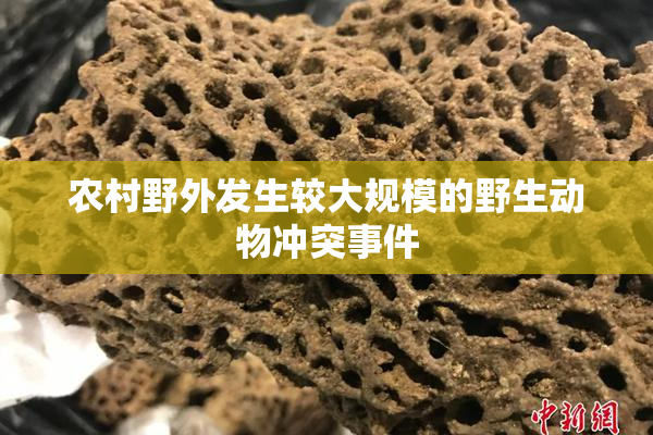 农村野外发生较大规模的野生动物冲突事件
