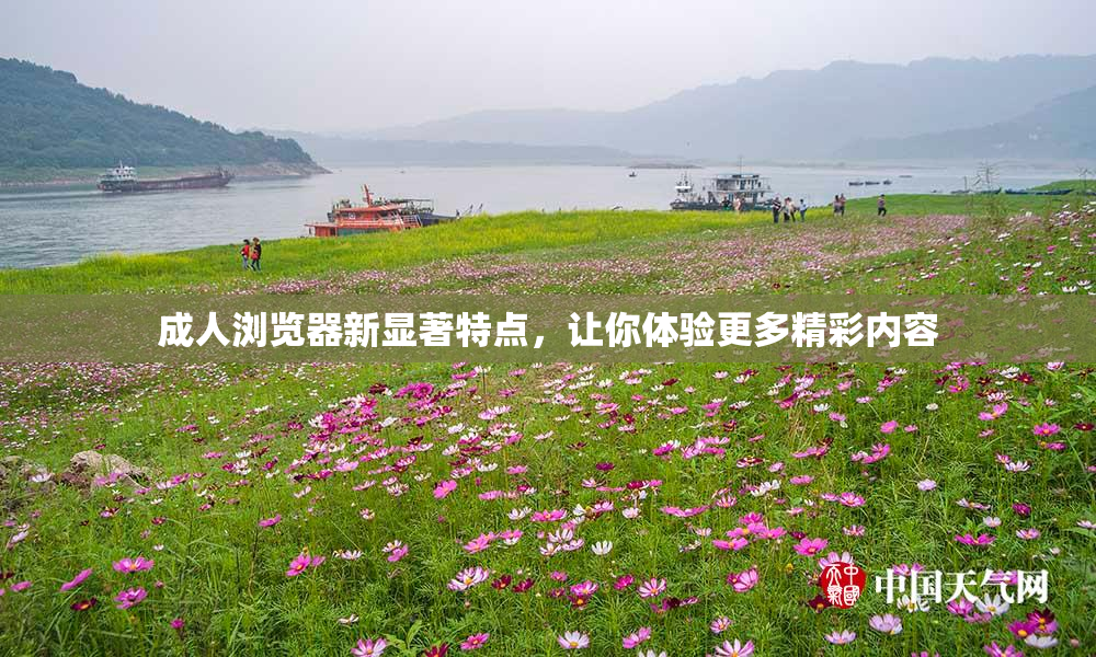 成人浏览器新显著特点，让你体验更多精彩内容