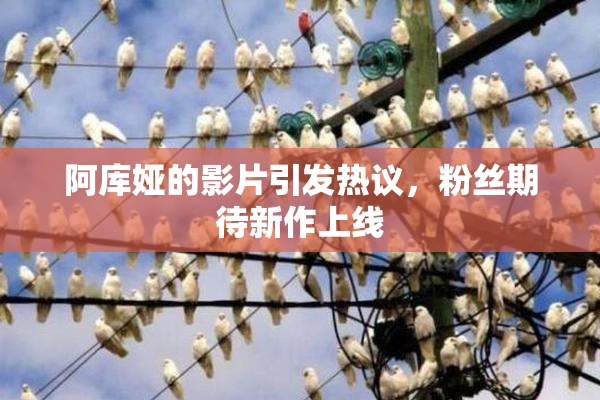 阿库娅的影片引发热议，粉丝期待新作上线