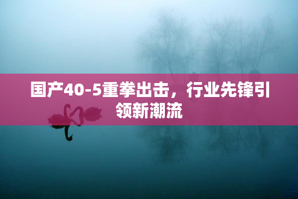 国产40-5重拳出击，行业先锋引领新潮流