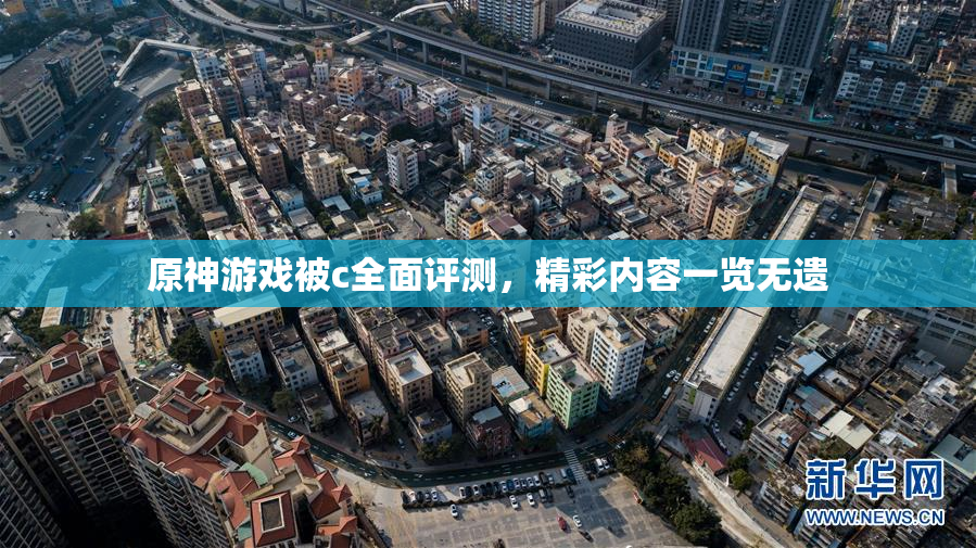 原神游戏被c全面评测，精彩内容一览无遗