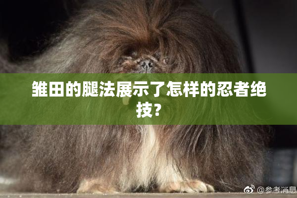 雏田的腿法展示了怎样的忍者绝技？