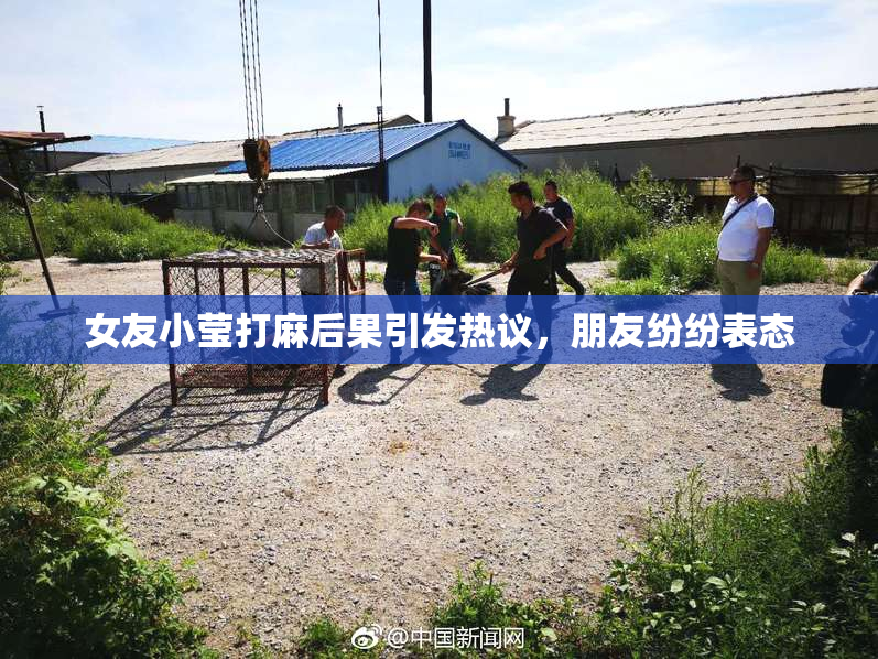 女友小莹打麻后果引发热议，朋友纷纷表态