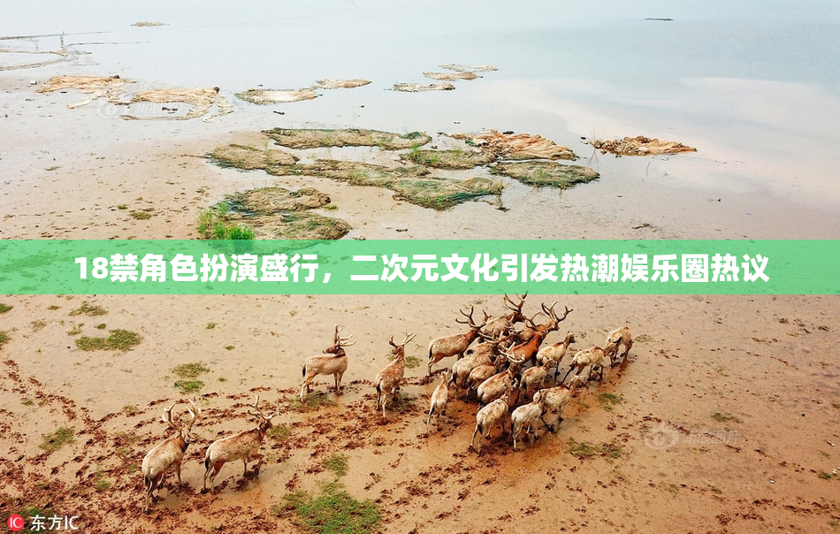 18禁角色扮演盛行，二次元文化引发热潮娱乐圈热议