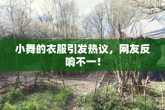 小舞的衣服引发热议，网友反响不一！