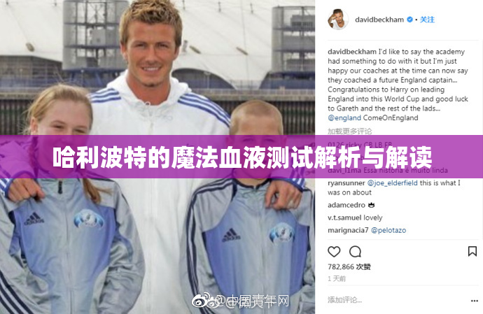 哈利波特的魔法血液测试解析与解读