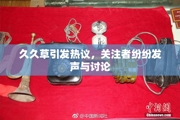 久久草引发热议，关注者纷纷发声与讨论