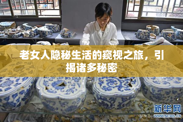 老女人隐秘生活的窥视之旅，引揭诸多秘密