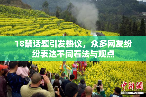 18禁话题引发热议，众多网友纷纷表达不同看法与观点