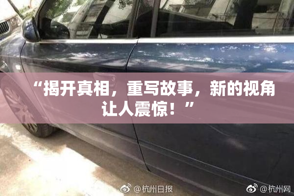 “揭开真相，重写故事，新的视角让人震惊！”