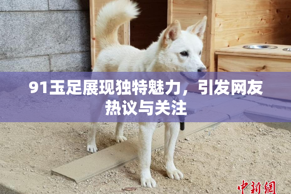 91玉足展现独特魅力，引发网友热议与关注