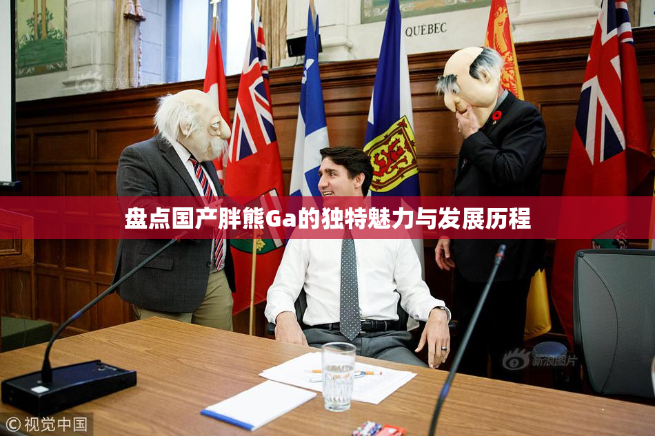 盘点国产胖熊Ga的独特魅力与发展历程