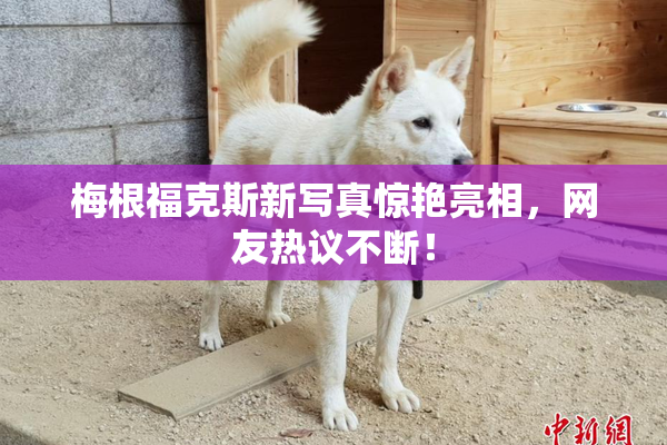 梅根福克斯新写真惊艳亮相，网友热议不断！