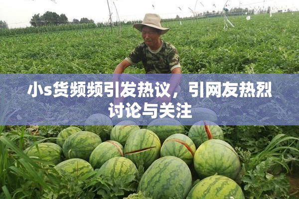 小s货频频引发热议，引网友热烈讨论与关注